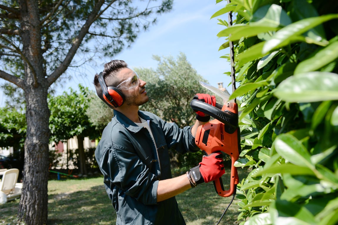 5 Summer Property Maintenance Tips for Landlords