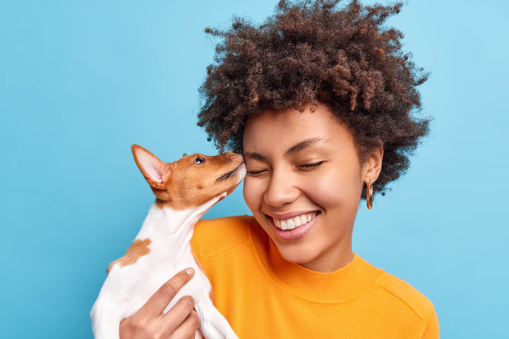 The Pros And Cons Of Allowing Pets In A Rental Property